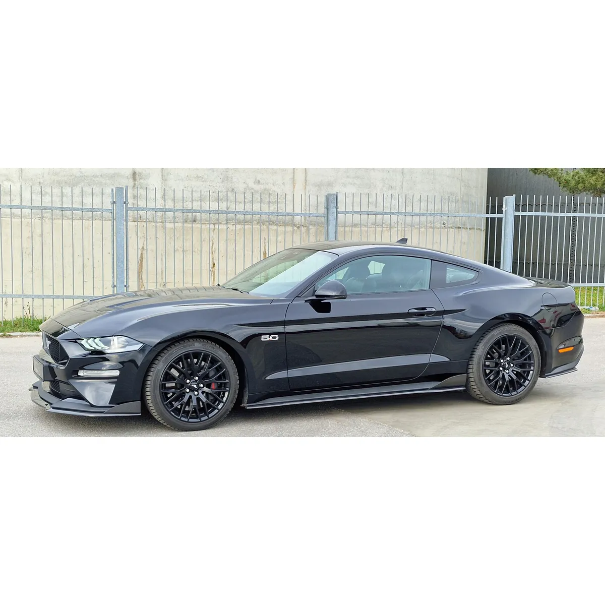 Carbon Seitenschwellerwings rund (R/L) passend für Ford Mustang 6