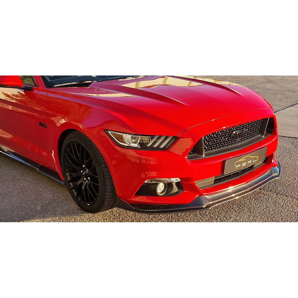 Carbon-Schwert passend für Ford Mustang 6 LAE (VFL)