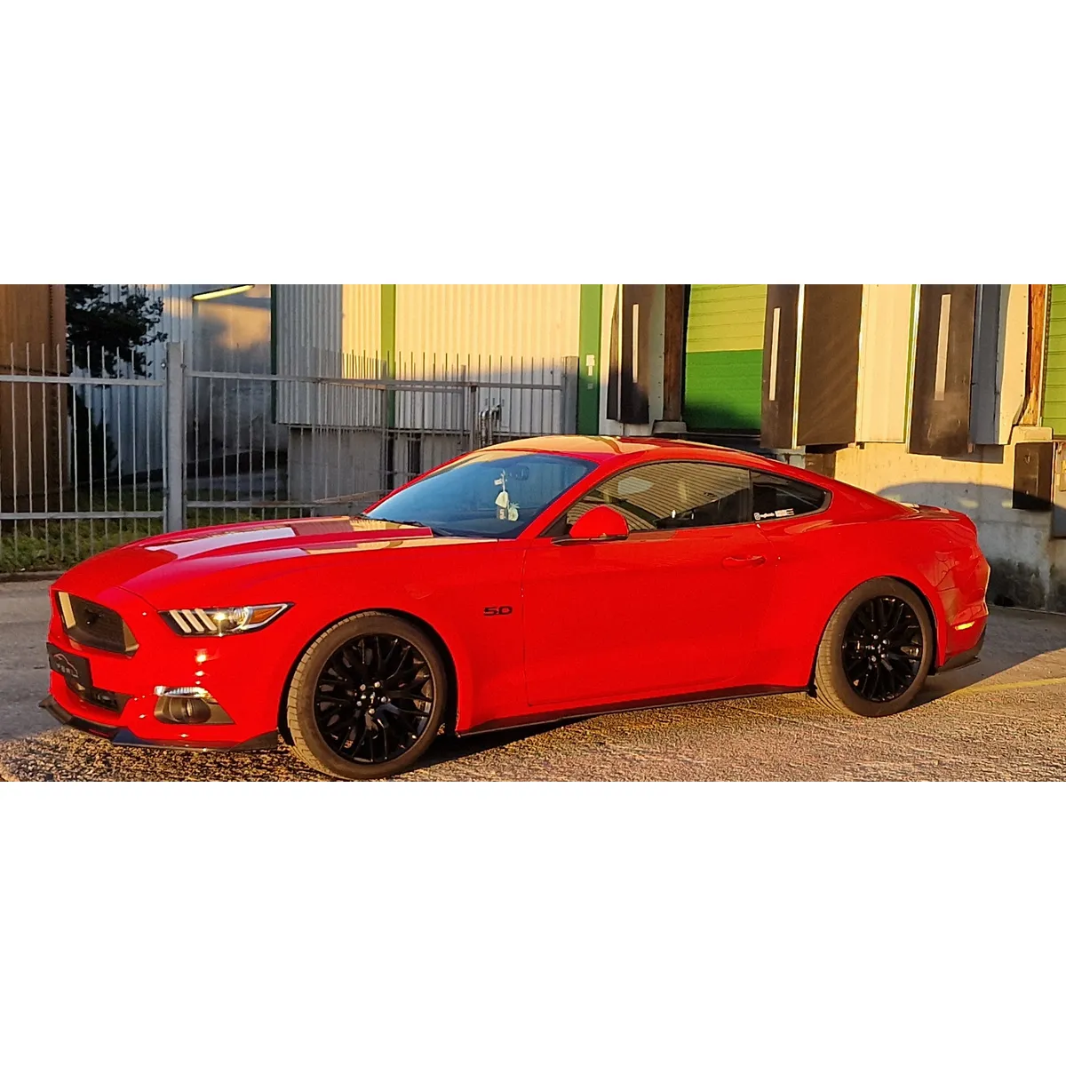 Carbon Frontwings rund passend für Ford Mustang 6