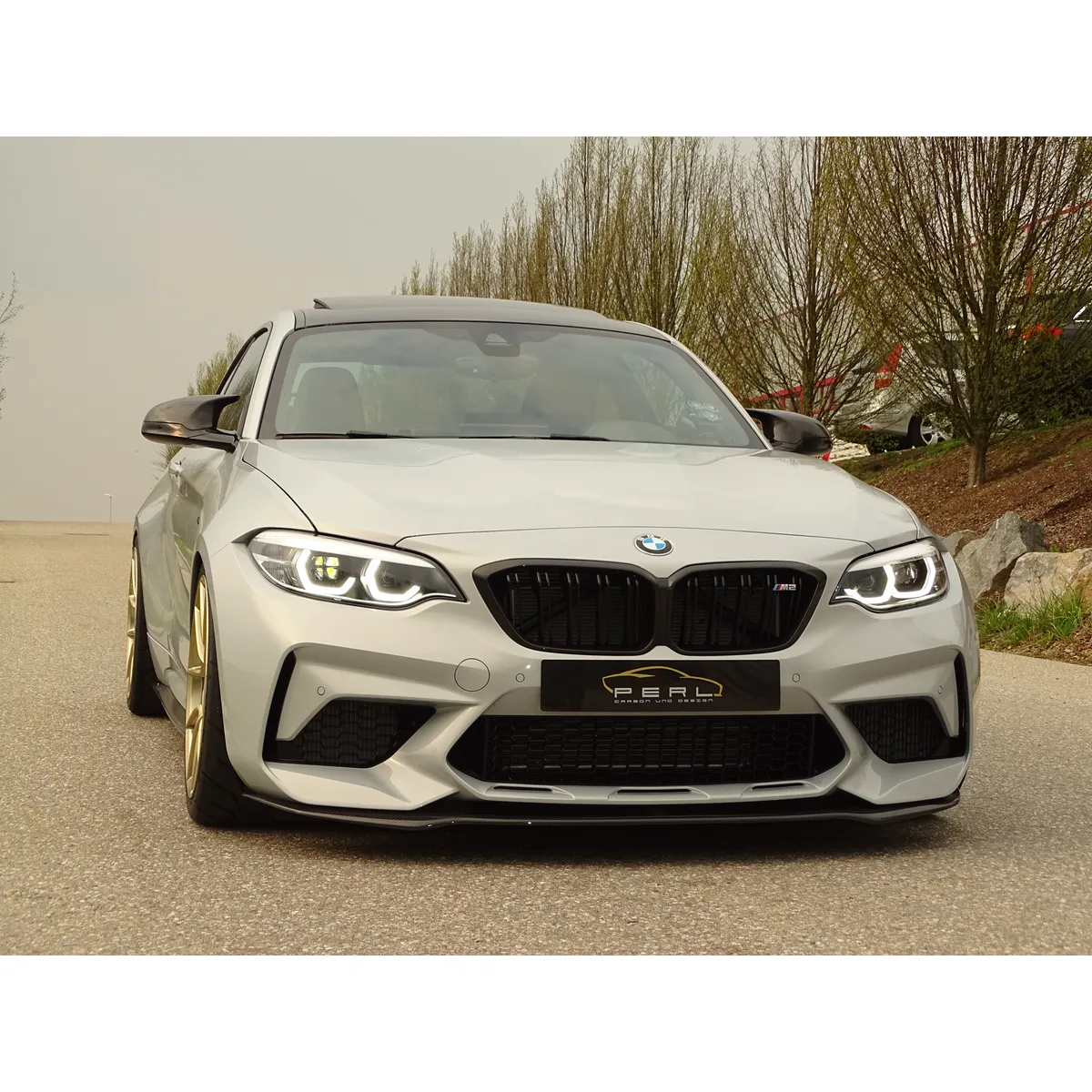 Carbon-Schwert passend für BMW M2 F87 Competition