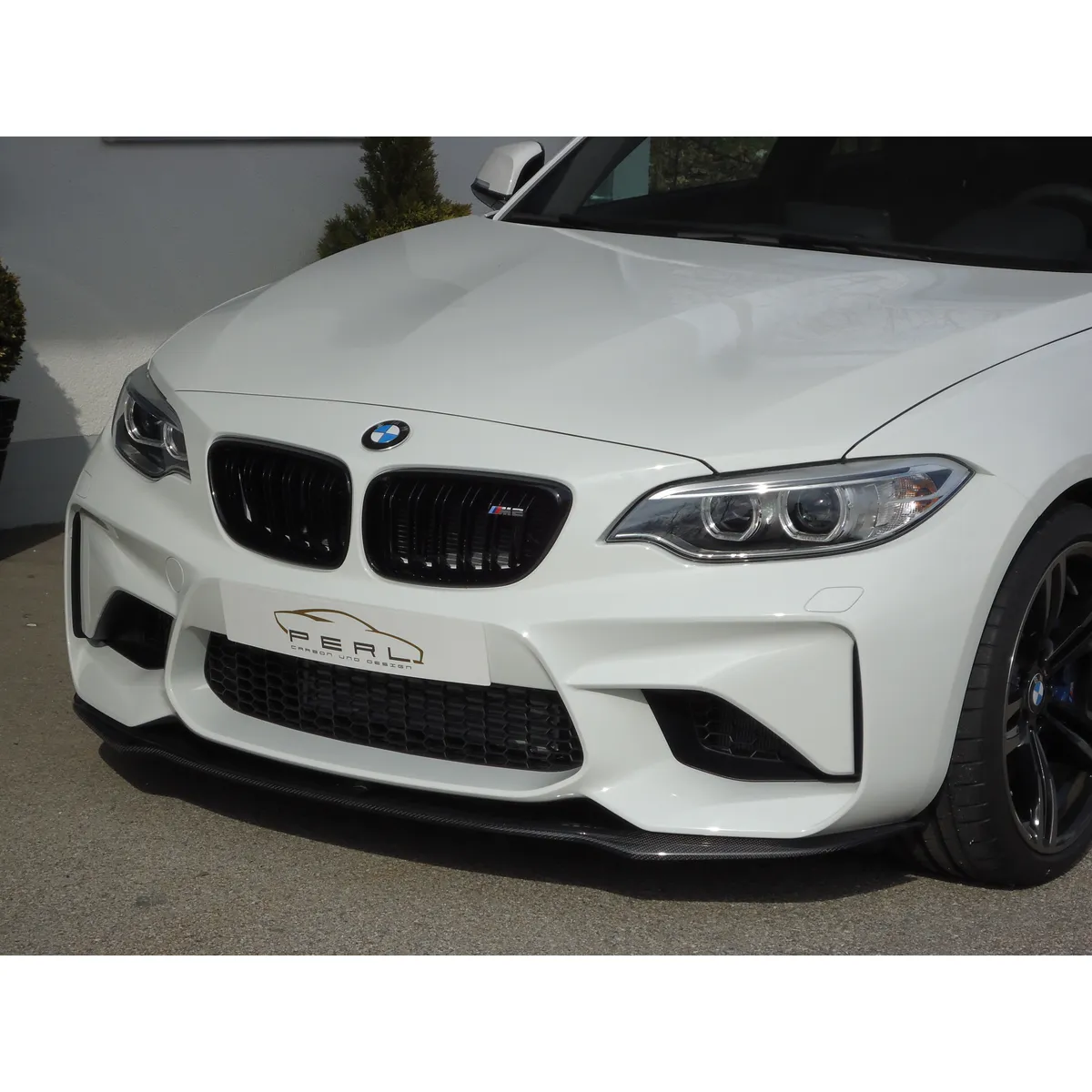 Carbon-Schwert passend für BMW M2 F87
