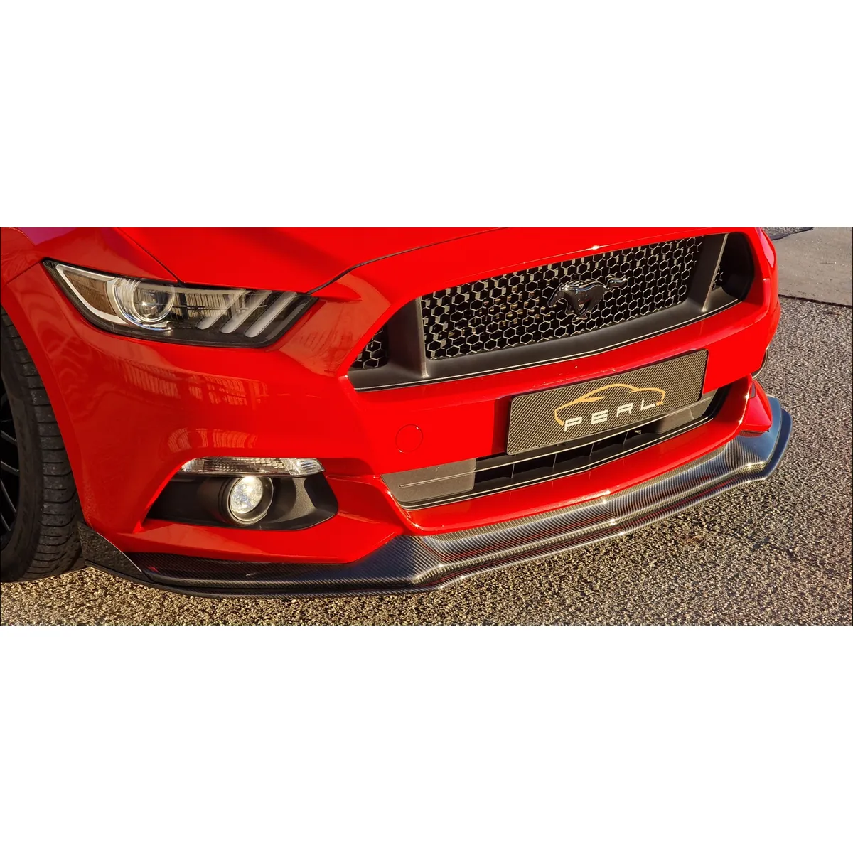 Carbon Frontwings rund passend für Ford Mustang 6