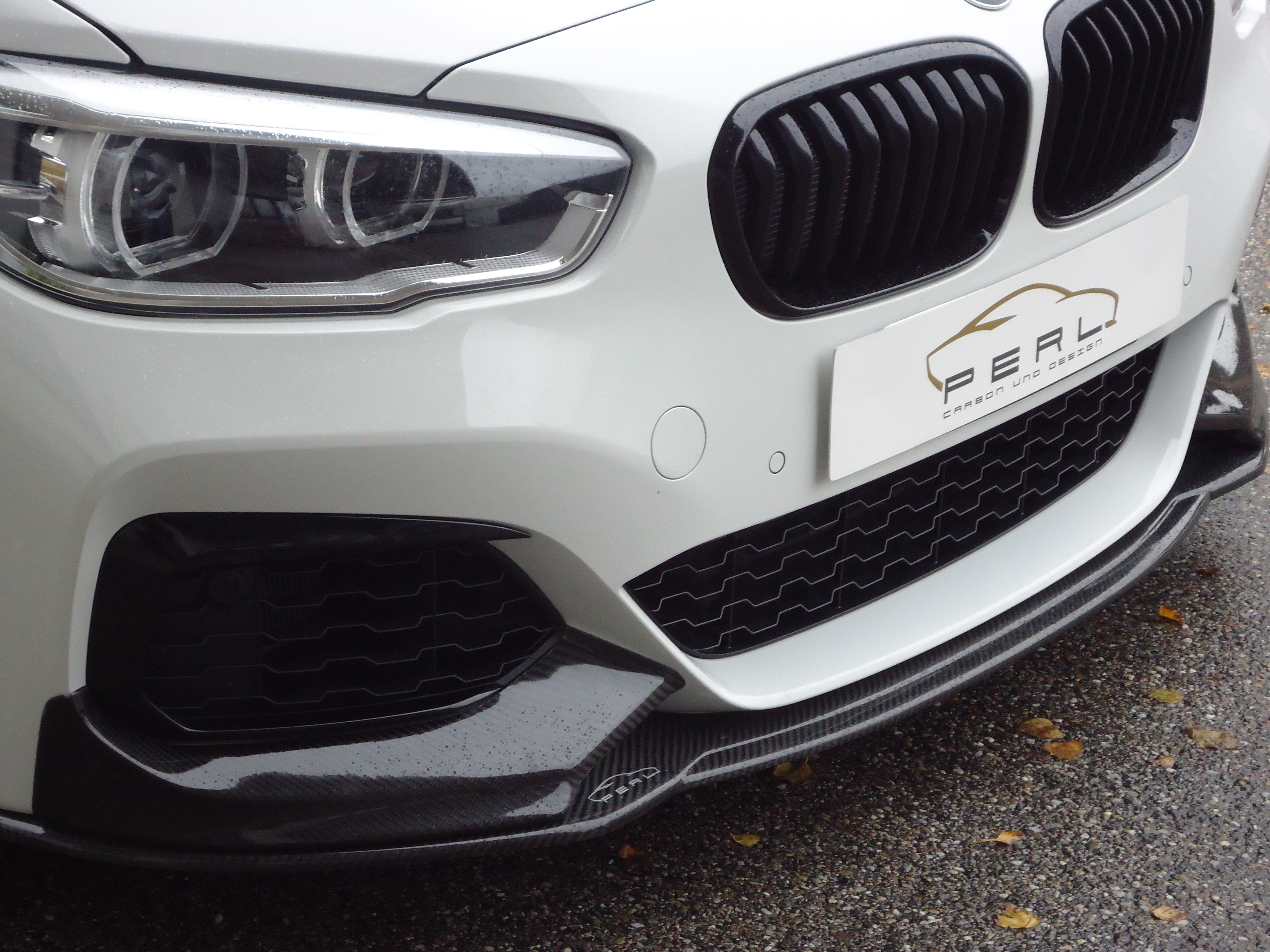 Carbon Spoilerschwert für BMW 1er F20/F21