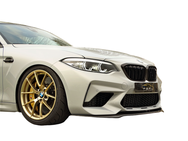Carbon-Schwert für BMW M2 F87 Competition